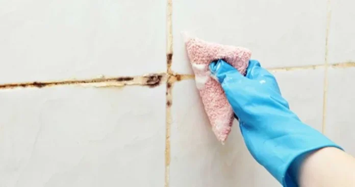 Cleaning bathroom mould on tile grout with an effective mould remover