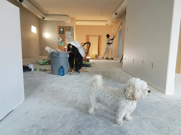 A home undergoing renovation with a white dog in the foreground and a worker painting the walls, representing ways to finance your home renovation.