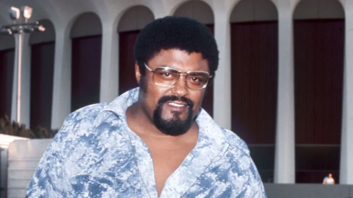 Rosey Grier Net Worth: Career Journey and Financial Success in 2025