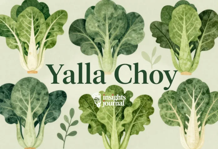 yalla choy platform overview showing features, interface, and user experience